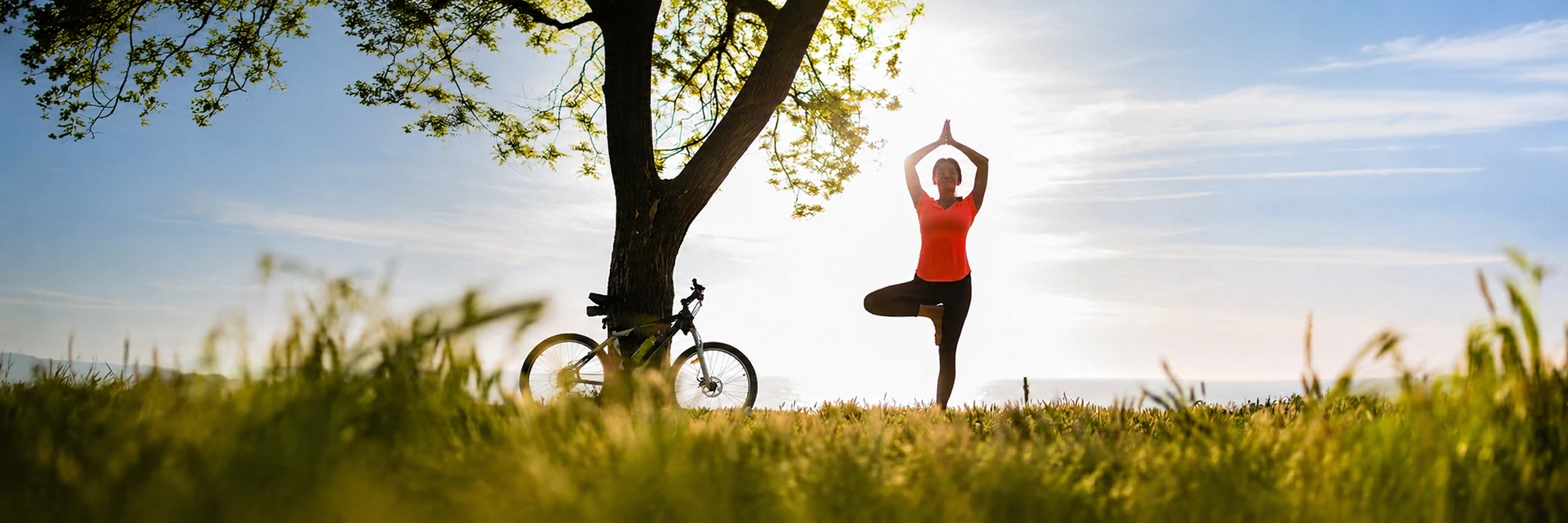 Wellness Hub